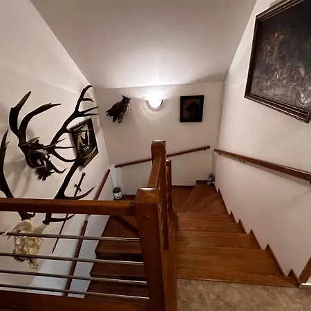 Cestar * Loučná pod Klínovcem
